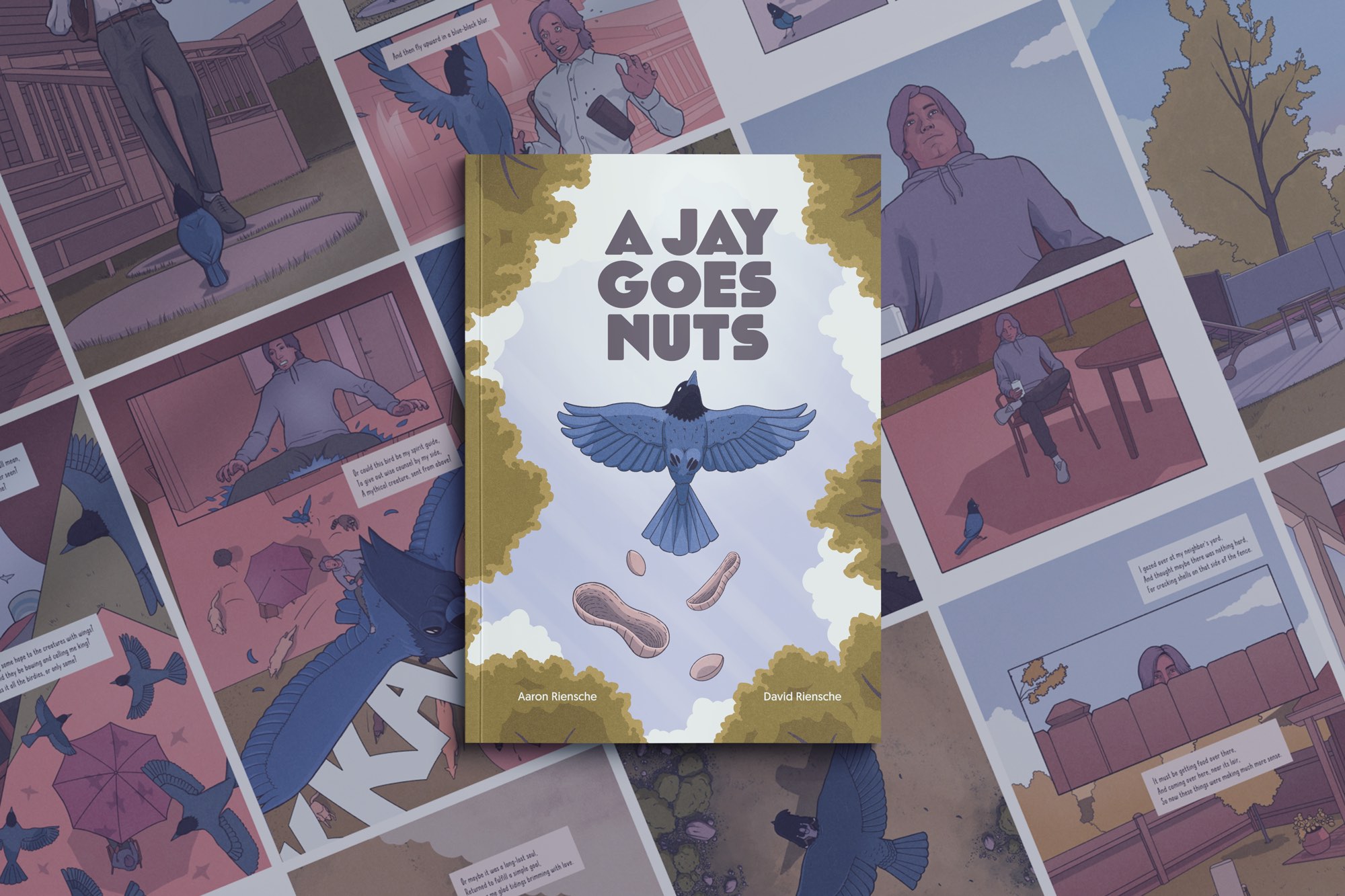 A Jay Goes Nuts cover art